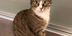 this would be a photo of the high school if I had one