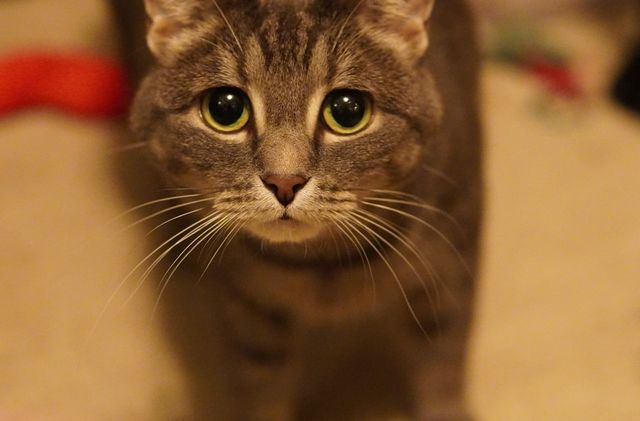 Availability without the ping-pong