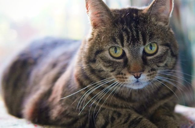 Deposits and receipts handled