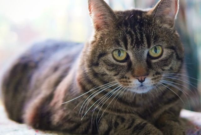 Rhea at Brightside Care