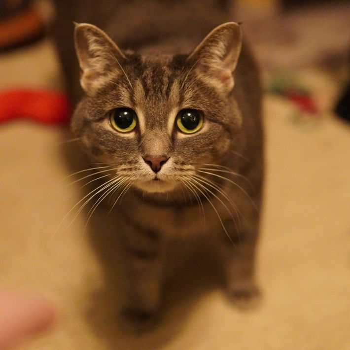 Chloe's peaceful face