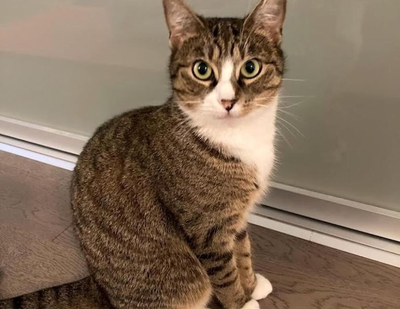 Sophie's Elegant Pose