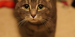 Incentive card background image