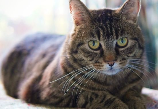 Application and database security