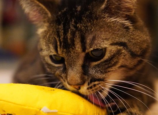 Edge computing and HCI platform illustration