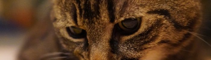 HR-01 rear panel: 2x SFP+, 2x 2.5G LAN, 2x USB4, HDMI 2.0, 2x USB3, DC 19V